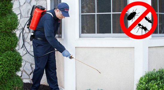 Sincik Gümüşkurt İlaçlama böcek ilaçlama ve haşere kontrolü — ilaclama-tr.com